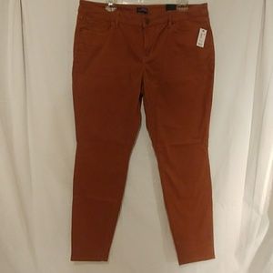 Ladies The Limited Pants